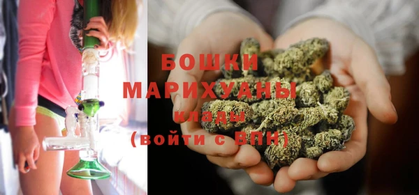 PSILOCYBIN Абдулино