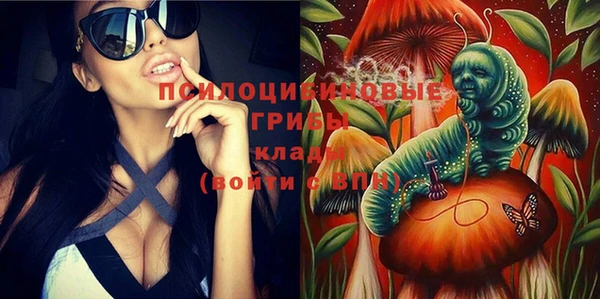 ГАЛЛЮЦИНОГЕННЫЕ ГРИБЫ Абинск