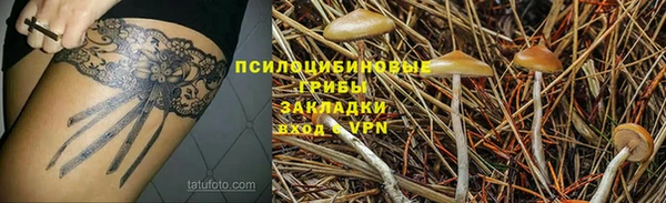 ГАЛЛЮЦИНОГЕННЫЕ ГРИБЫ Абинск