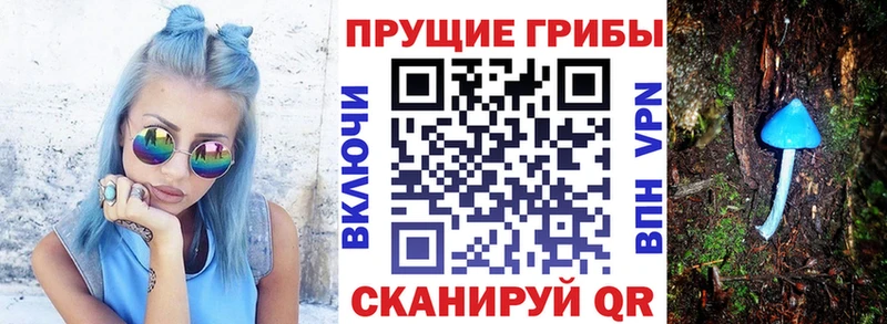 Галлюциногенные грибы Psilocybine cubensis  купить наркотик  Верхоянск 