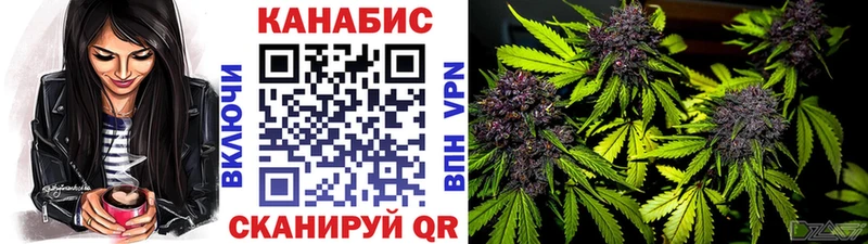 магазин продажи наркотиков  Верхоянск  Бошки марихуана ГИДРОПОН 